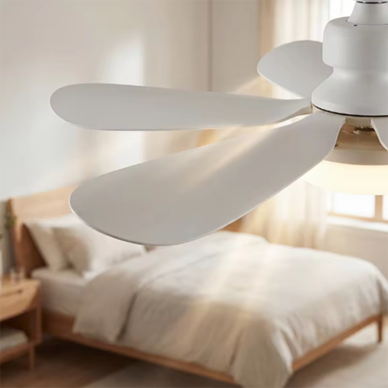 2026 E27 ไฟ LED พัดลมเพดานหรี่ - Ceiling Fan Mount บทวิจารณ์และราคา